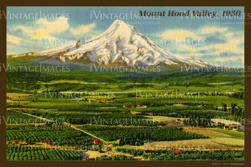 Mount Hood Valley Postcard 1930 - 003
