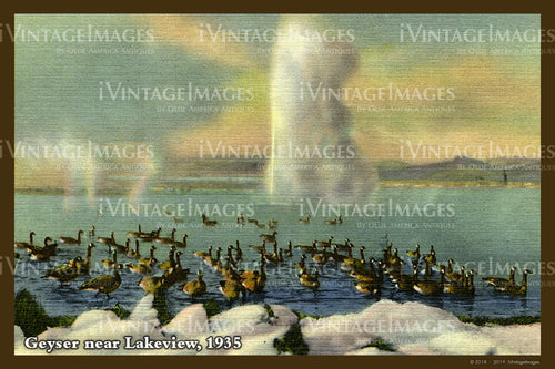 Geyser near Lakeview Postcard 1935 - 048