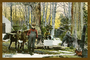 Maple Sugar Camp Postcard 1915 - 025