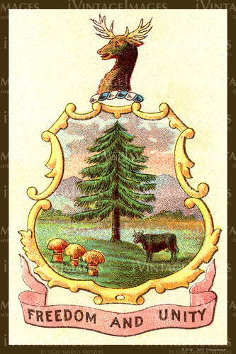 Vermont State Seal 1900 - 034