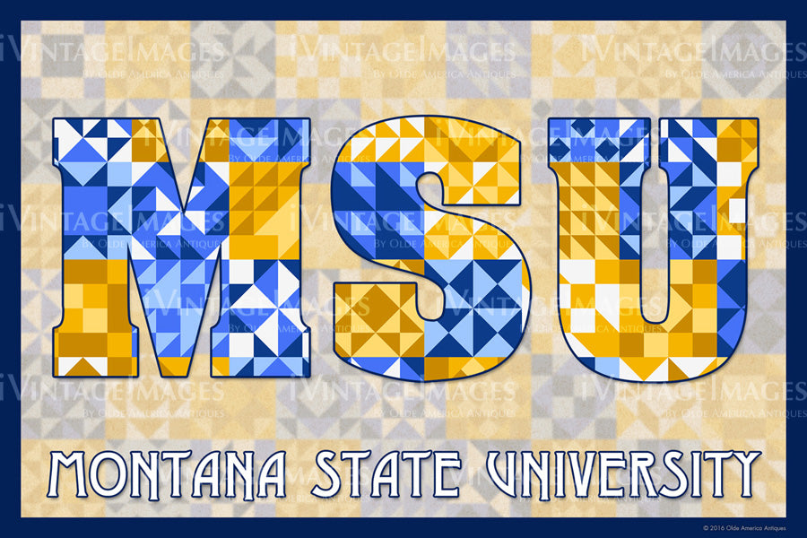 Montana State University Version 1 by Susan Davis - 016