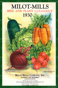 Milot Mills Vegetables 1930 - 003