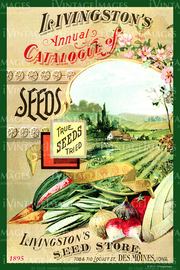 Livingstons Vegetables 1895 - 004