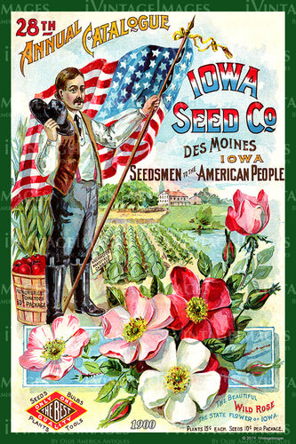 Iowa Vegetables 1900 - 006