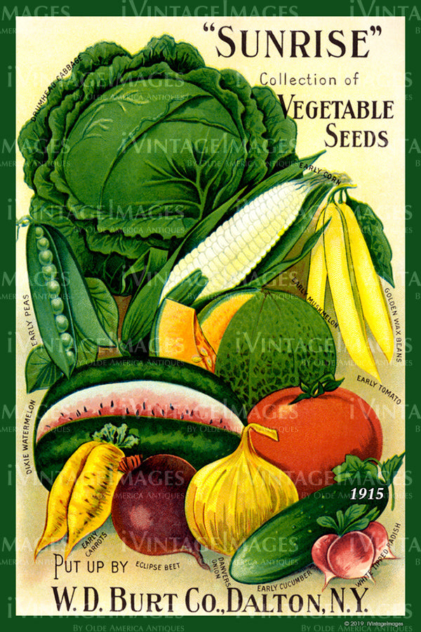 Sunrise Vegetables 1915 - 008