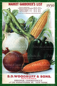 Woodruff Vegetables 1930 - 014