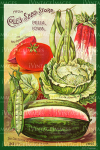 Coles Vegetables 1895 - 015