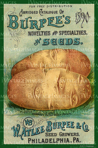 Burpee Vegetables 1890 - 022