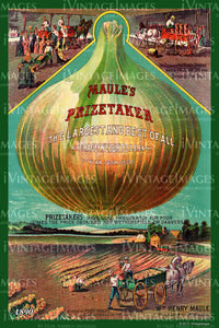 Maules Vegetables 1890 - 023