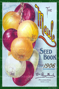 Maule Vegetables 1906 - 025