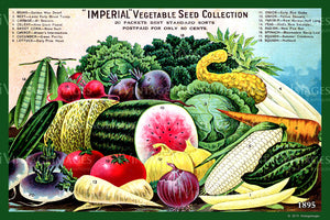 Imperial Vegetables 1895 - 028