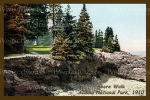 Acadia Postcard 1910 - 10