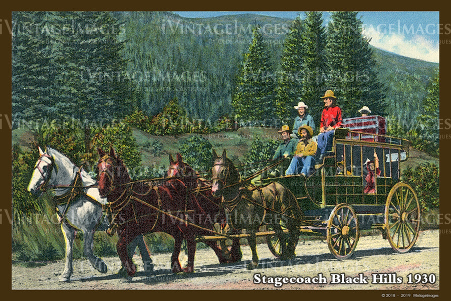 Black Hills Postcard 1930 - 05
