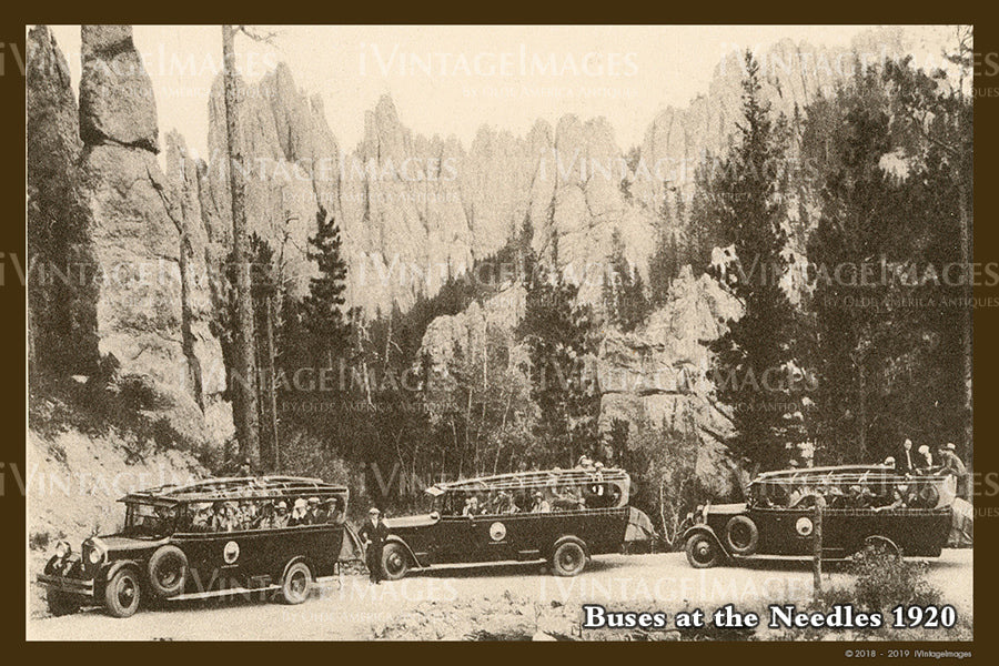 Black Hills Postcard 1920 - 07
