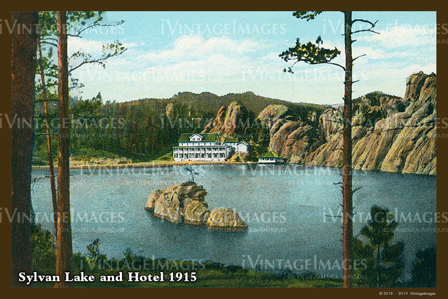 Black Hills Postcard 1915 - 13