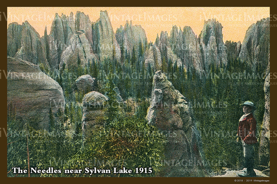 Black Hills Postcard 1915 - 18