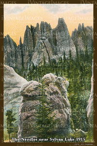 Black Hills Postcard 1915 - 22