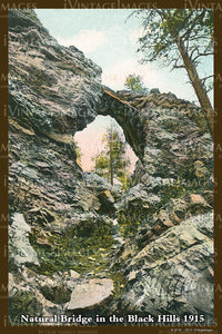 Black Hills Postcard 1915 - 23