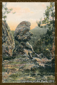 Black Hills Postcard 1915 - 28
