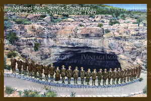 Carlsbad Caverns Postcard 1940 - 4