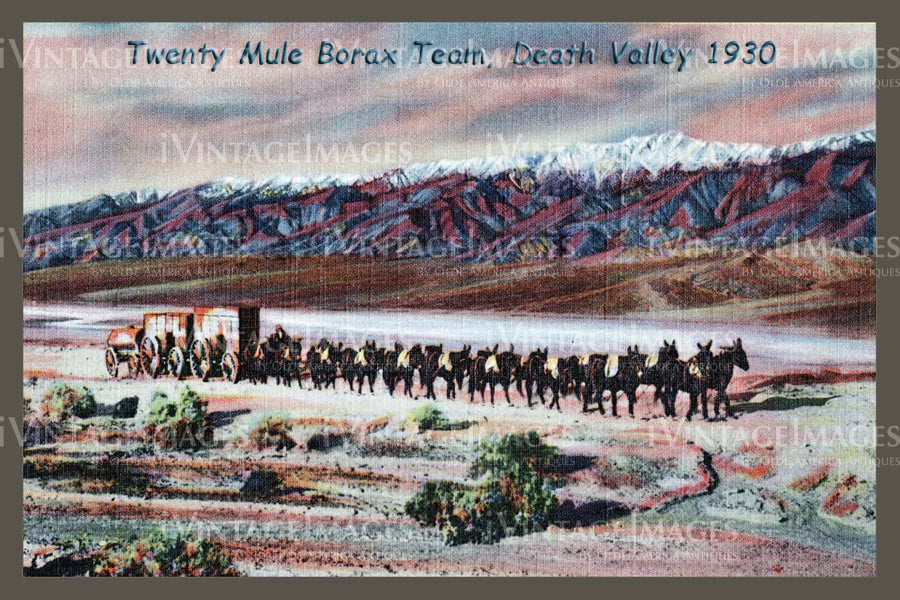 Death Valley Postcard 1930 - 3