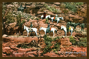Grand Canyon Postcard 1902 - 43