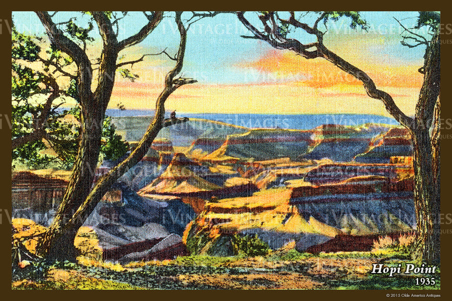 Grand Canyon Postcard 1935 - 49
