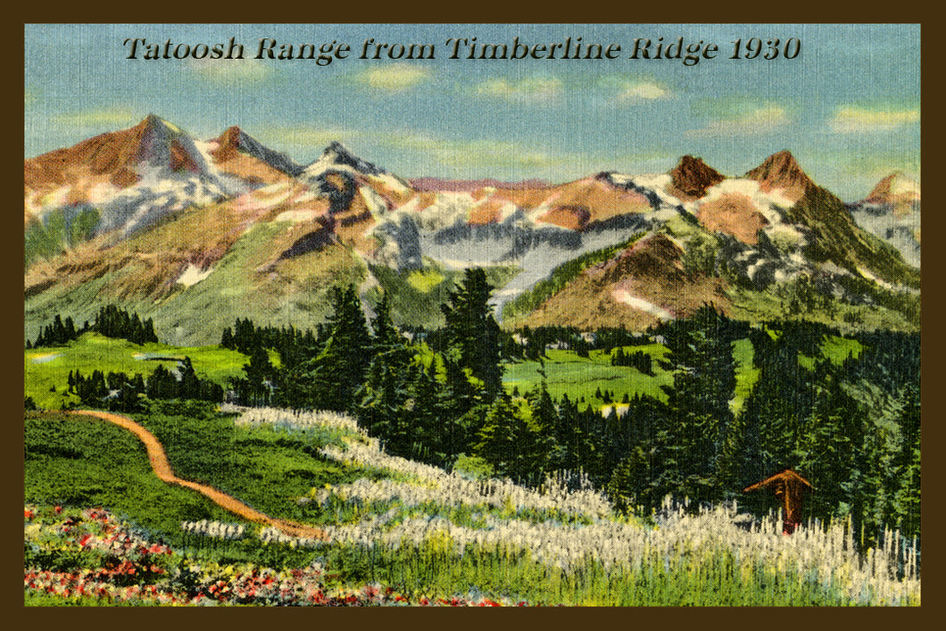 Mount Rainier Postcard 1930 - 11