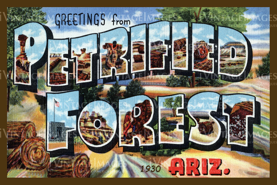 Petrified Forest Postcard 1930 - 01