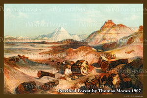 Petrified Forest Postcard 1907 - 02