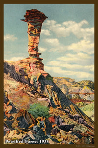 Petrified Forest Postcard 1935 - 05