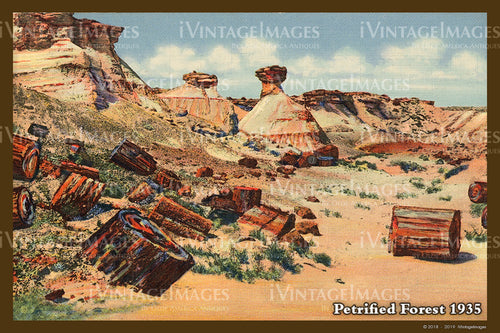 Petrified Forest Postcard 1935 - 07