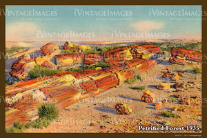 Petrified Forest Postcard 1935 - 09