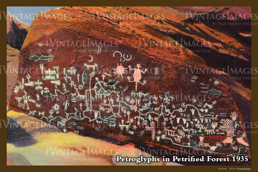 Petrified Forest Postcard 1935 - 10