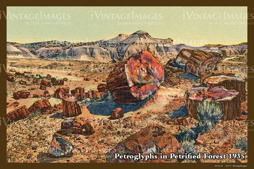 Petrified Forest Postcard 1935 - 11