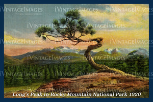 Rocky Mountain Postcard 1920 - 14