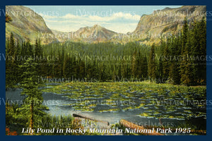 Rocky Mountain Postcard 1925 - 15