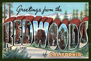 Redwood Postcard 1930 - 1