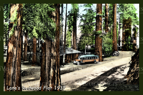 Redwood Postcard 1935 - 2