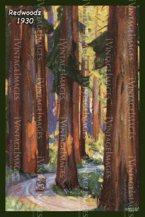 Redwood Poster 1930 - 3