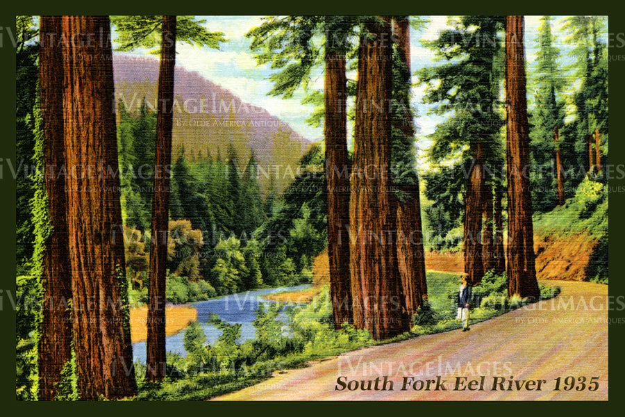 Redwood Postcard 1935 - 6