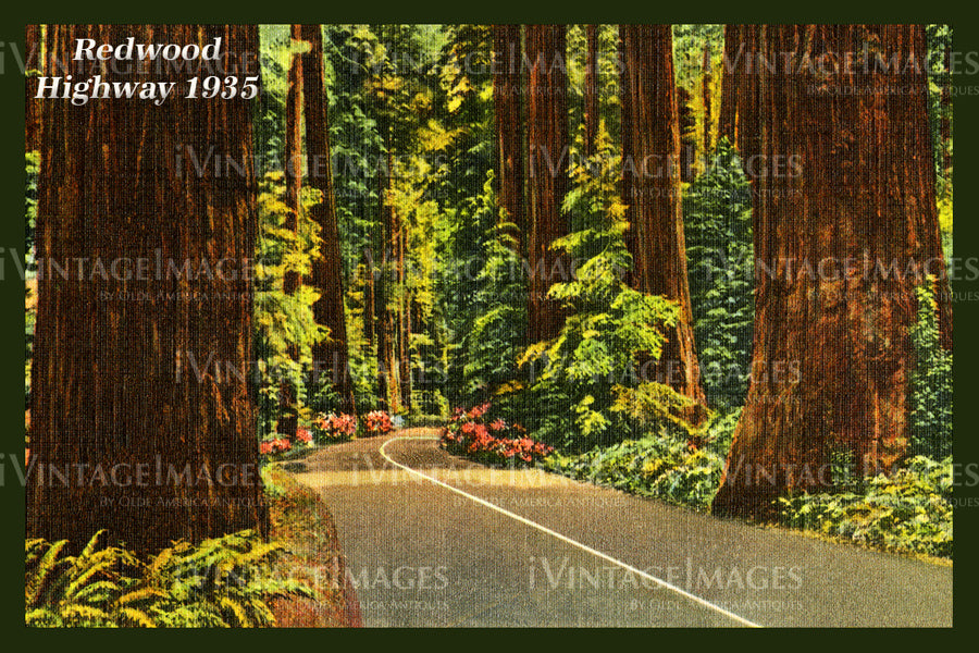 Redwood Postcard 1935 - 7