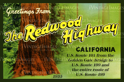 Redwood Postcard 1935 - 9
