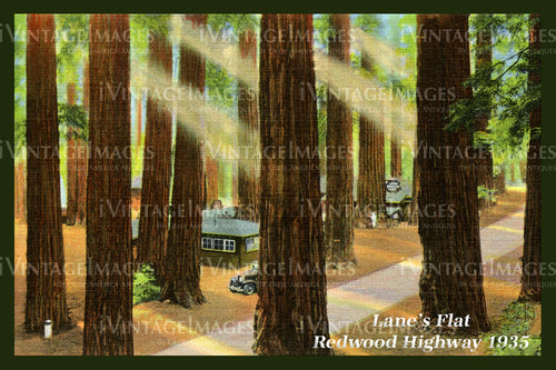 Redwood Postcard 1935 - 14