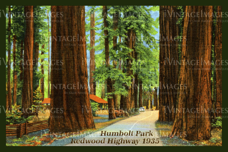 Redwood Postcard 1935 - 15