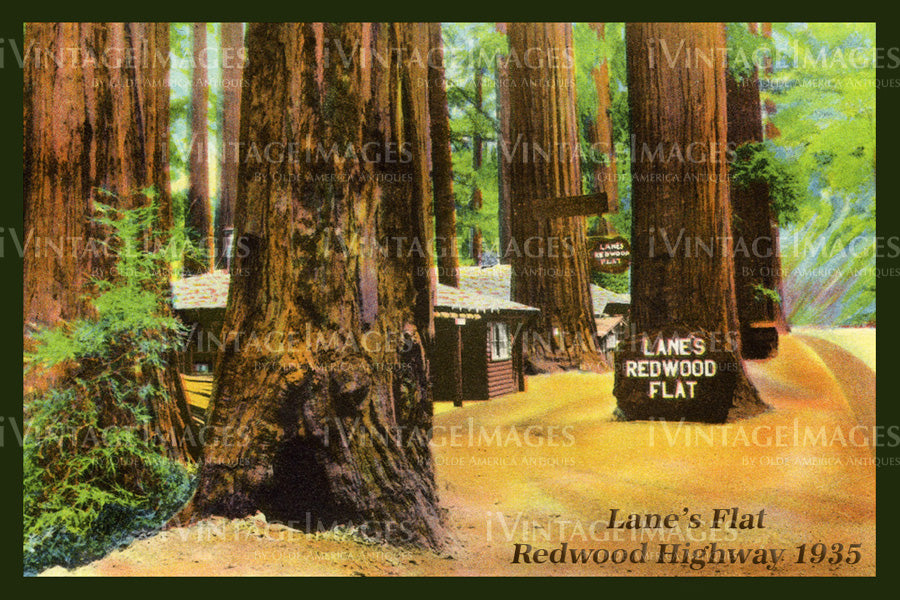 Redwood Postcard 1930 - 18