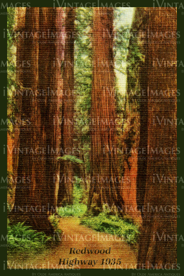 Redwood Postcard 1935 - 22