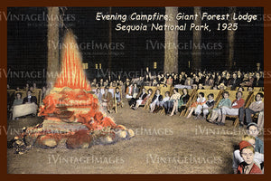 Sequoia Postcard 1925 - 3