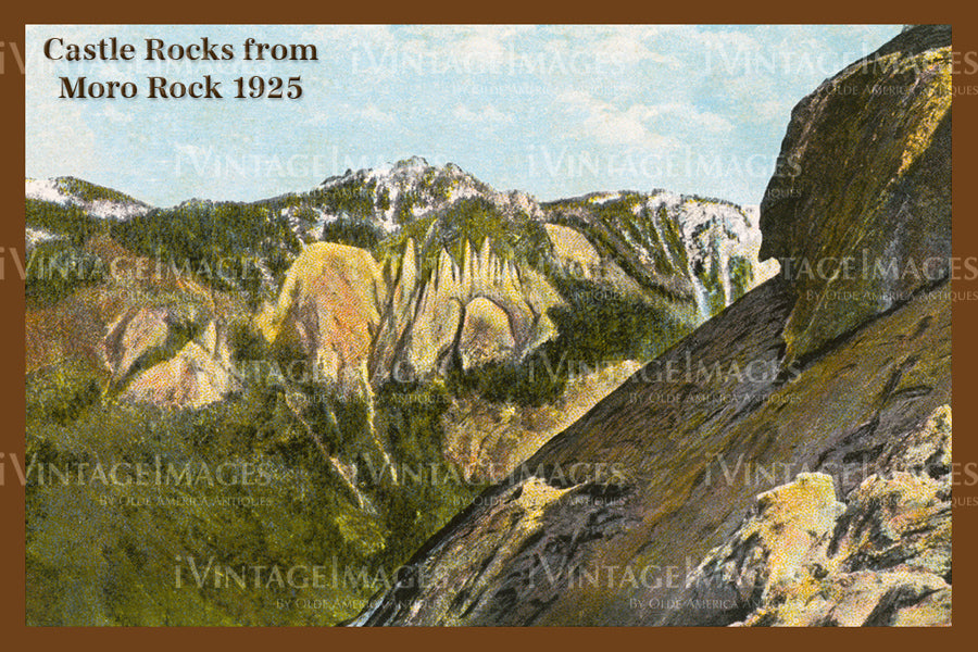 Sequoia Postcard 1925 - 8