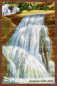 Sequoia Postcard 1925 - 10